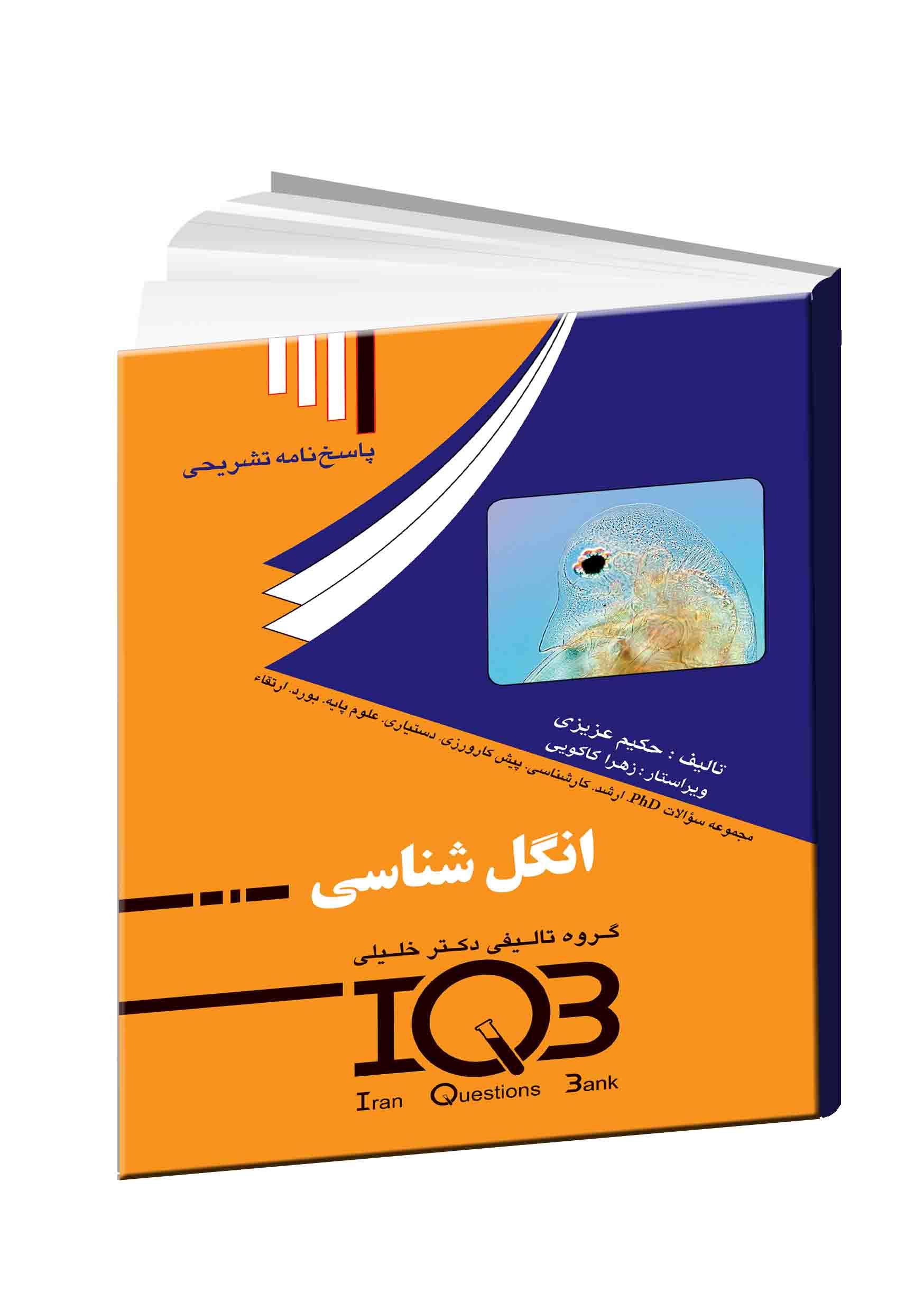 پاسخنامه تشریحی بانک سوالات ایران: IQB: Iran